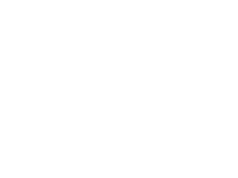 apache white logo