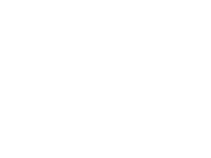 php white logo
